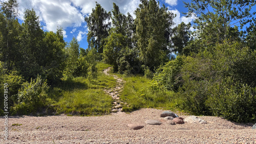 Forest Path Leading Through Green Trees from a Pebble Beach on a Sunny Day