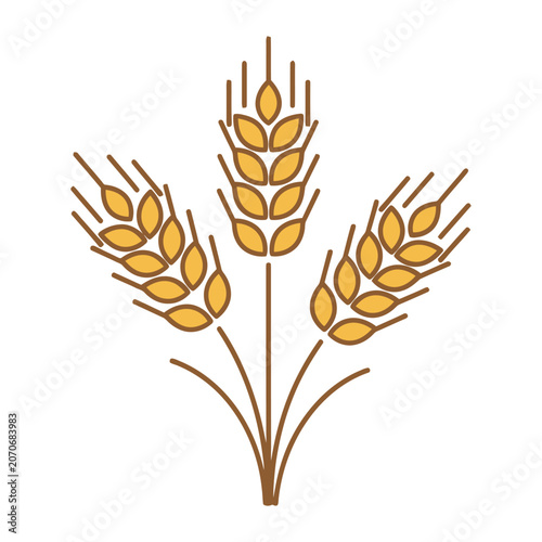 Wheat Stalks Vector Illustration