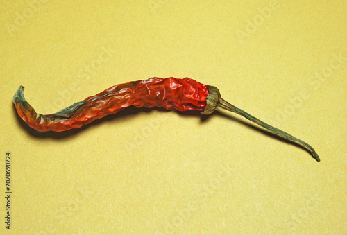 Bild auf Leinwand a dried chili red pepper (capsicum)
