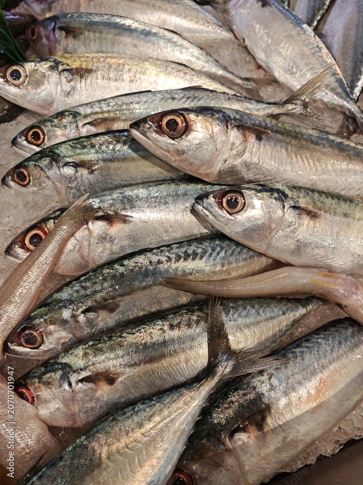 Obraz premium Fresh Mackerals for sale in market