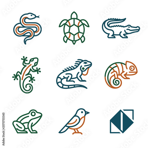 Reptile and Amphibian Icons: Snake, Turtle, Alligator, Lizard, Iguana, Chameleon, Frog, Bird