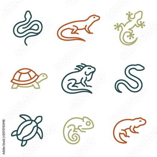 Set of reptile icons: snake, lizard, iguana, turtle, chameleon. Outline drawings.