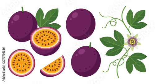 Tableau sur toile Passion fruit arrangement vector illustration with dark purple tones silhouette