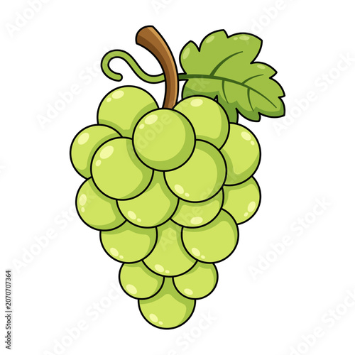 Green Grape Bunch with Leaf Cartoon Illustration
