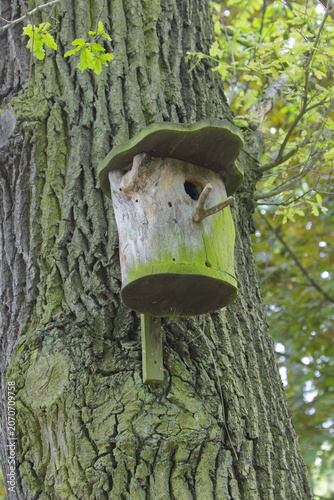 Rustikales Nistkästchen aus einem Baumstamm an einer alten Eiche im Frühling