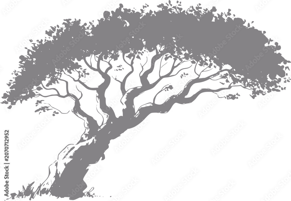Fototapeta premium Stylized silhouette of a gnarled tree with lush foliage