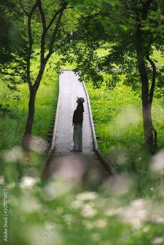 Forest boardwalk woman tree...