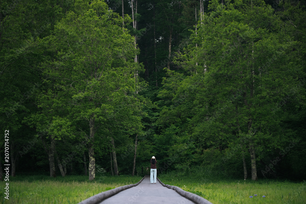 Fototapeta premium Forest path tree woman green woodland nature, solitary woman walking along narrow path through dense green forest with calm mood and lush summer foliage