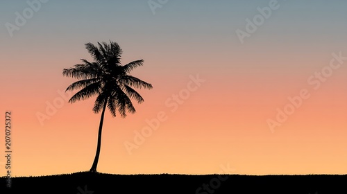 Single palm tree silhouette against orange sky and dark ground