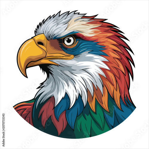 american bald eagle