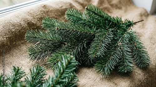 Pine tree branches on sandy surface.