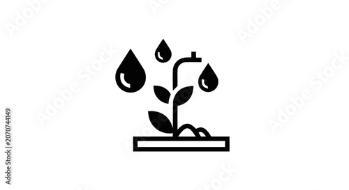 Foto Plant Growing with Water Drops.