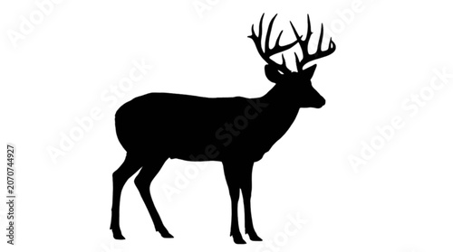 Black silhouette deer with antlers standing isolated on transparent background, Vector