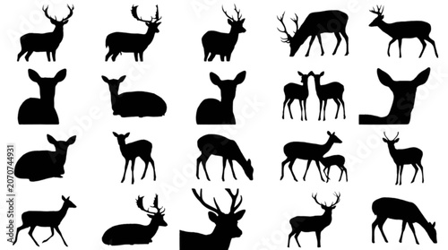 Black deer silhouettes in various poses isolated on transparent background, Vector