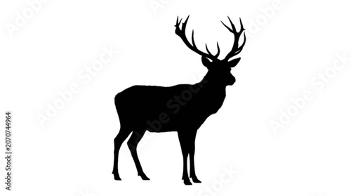 Black silhouette deer standing strong isolated on transparent background, Vector