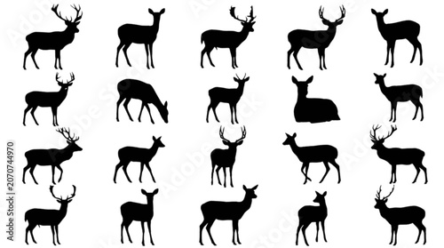 Black and white deer icons in various poses isolated on transparent background, Vector