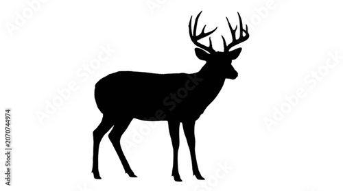 Silhouette of deer with large antlers standing isolated on transparent background, Vector
