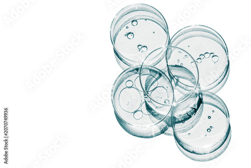 Petri Dishes with Blue Liquid and Bubbles Isolated on Transparent Background