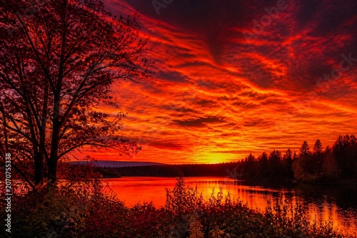 cadmium. Autumn sunset with intense orange and red horizon, silhouetted trees, dramatic sky. inspiring travel planning.