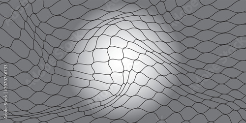 Abstract Wireframe Mesh Background With Wavy Lines And Subtle Distortion
