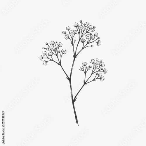 Black and white line art of blooming cherry blossom tree.