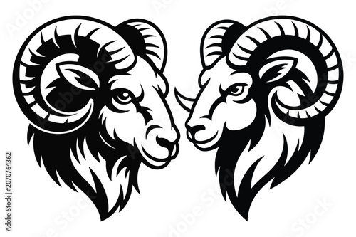 Black and white vector illustration of black and white illustration of two ram heads facing each other