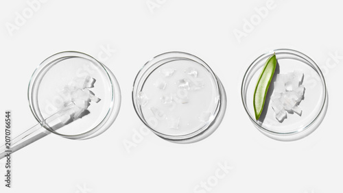 Petri Dishes with Aloe Vera Flesh and Aloe Vera Slice on Light Background