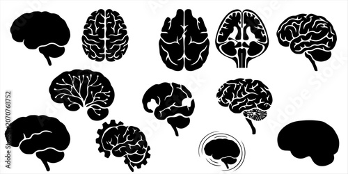 Foto Human Brain Anatomy Icons Set Vector Illustration
Medical Brain Silhouette Colle