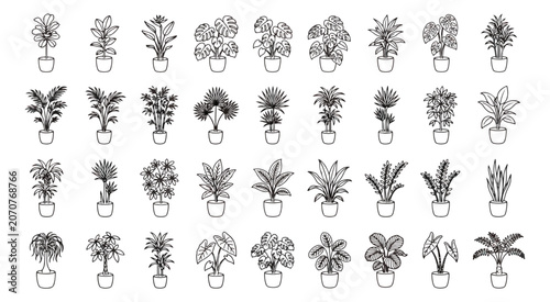 Photography Minimalist line art houseplant icons, set of 36 potted plant vector illustration