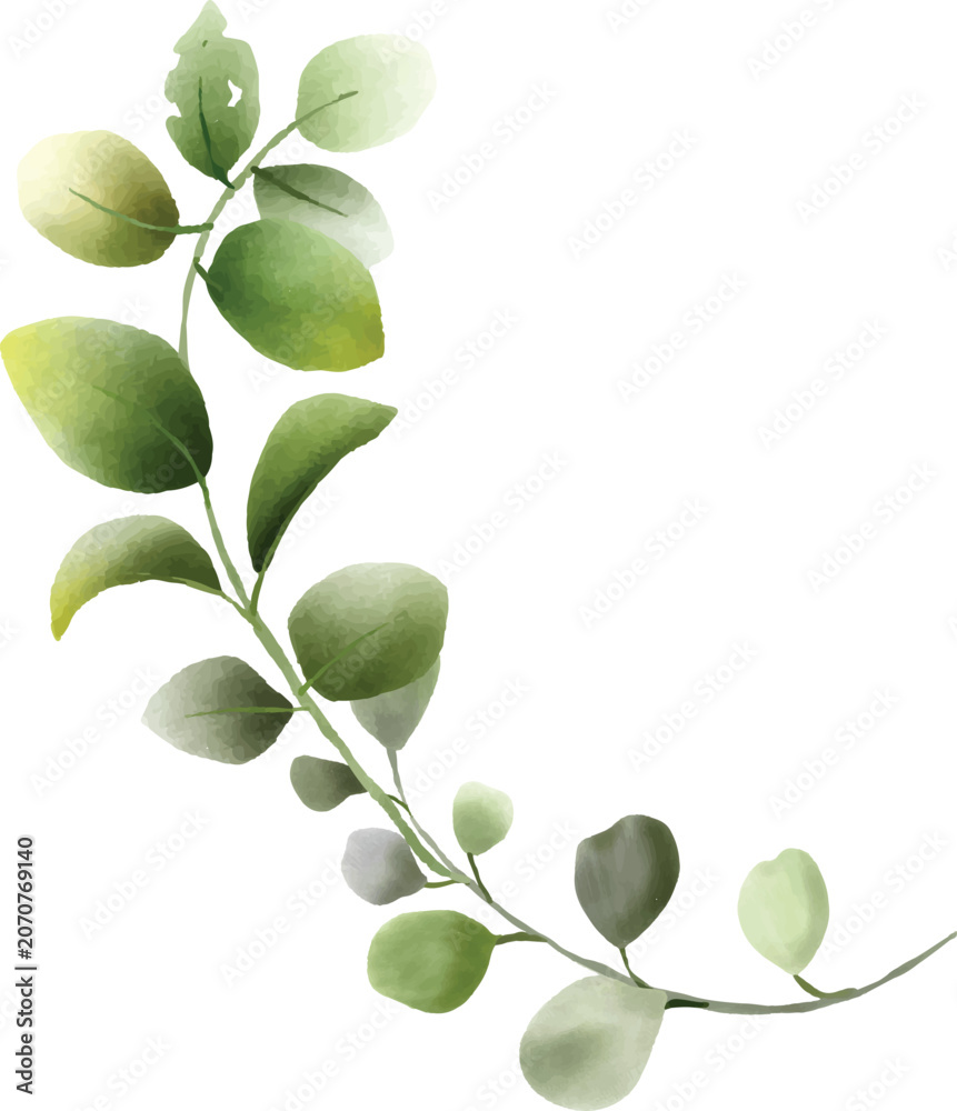 Obraz premium Watercolor illustration of green eucalyptus plant leaves and branches
