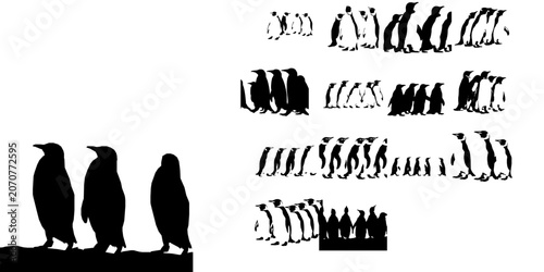Photos Group of Penguins Waddling Silhouette