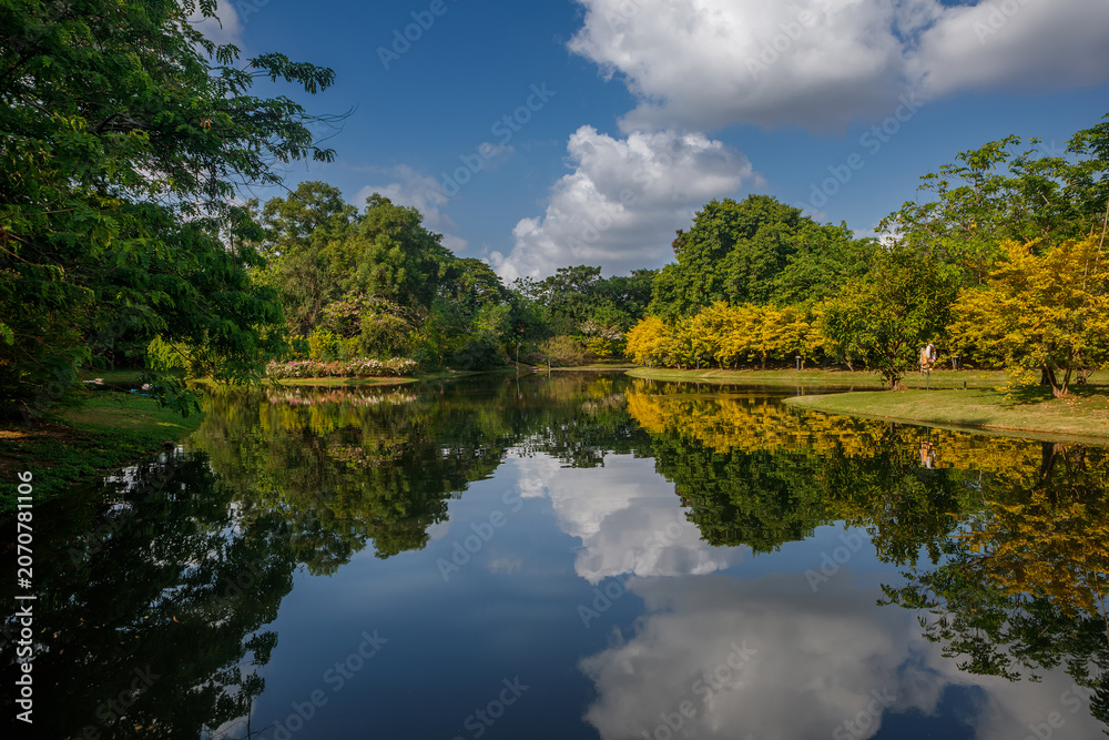 Obraz premium Beautiful city park lake landscape with fluffy clouds reflection in calm water surface