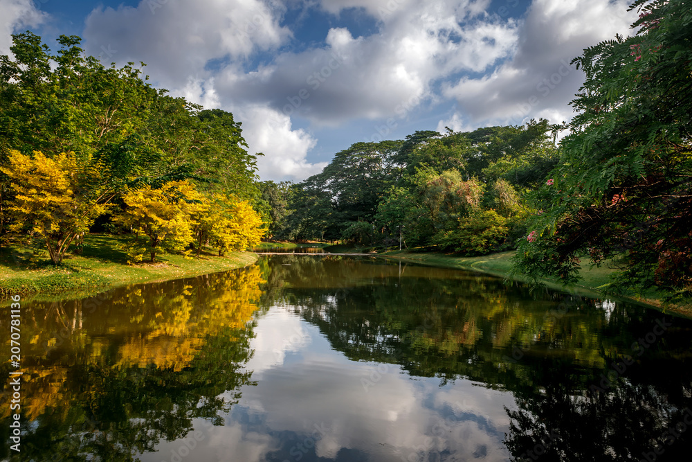 Fototapeta premium Beautiful city park lake landscape with fluffy clouds reflection in calm water surface