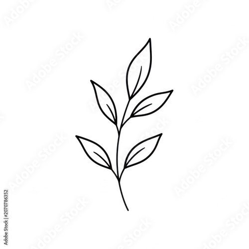 Delicate hand drawn botanical leaf branch line art icon with botanical