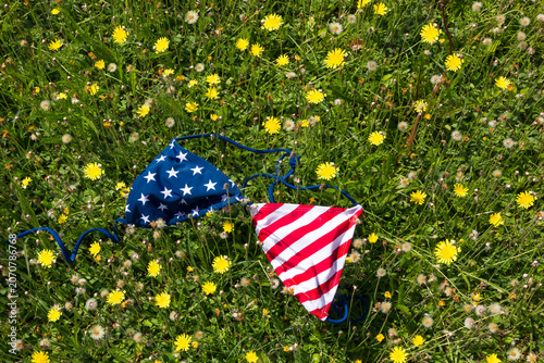 Patriotic USA flag bikini on a green field with dandelions.