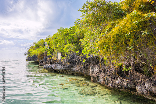 Foto L'Île aux Aigrettes dans le Parc marin de Blue Bay, Mahébourg, Ile Maurice, Océa