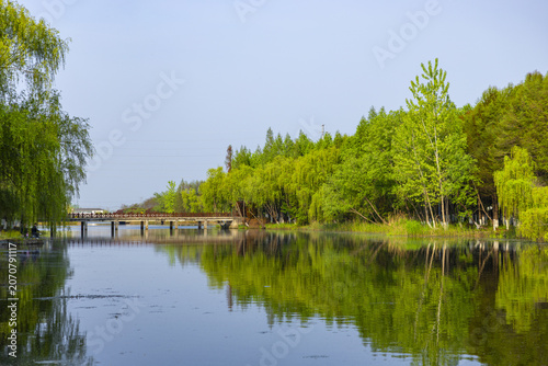 Serene Lake Landscape with Trees and Bridge Reflections