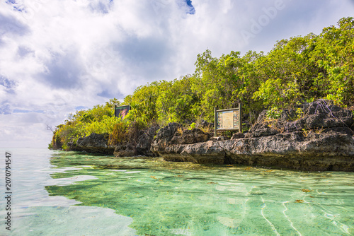 Foto L'Île aux Aigrettes dans le Parc marin de Blue Bay, Mahébourg, Ile Maurice, Océa