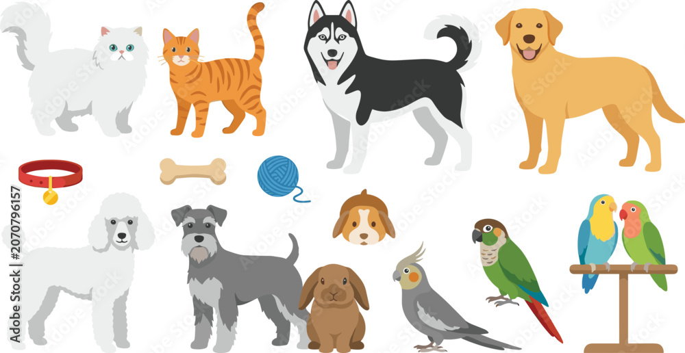Fototapeta premium Cute domestic pets vector illustration featuring dogs cats parrot lovebirds rabbit yarn collar and bone icons