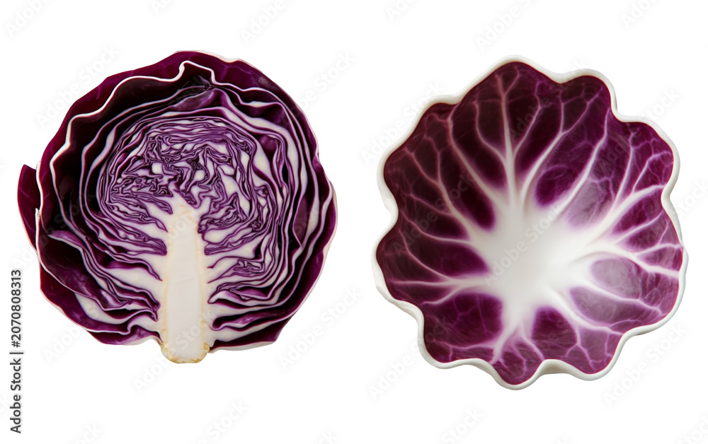 Obraz premium Split cut purple cabbage and a ceramic cabbage leaf shaped bowl isolated on a white background for culinary content