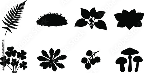 Obraz na płótnie Forest floor plants and woodland flora black vector silhouettes set featuring fe