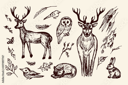 Photography Hand-drawn forest wild animals isolated on a beige background