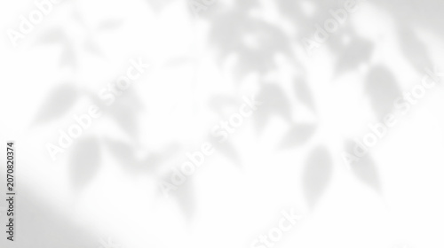 Transparent PNG of realistic shadow of leaves on surface with natural light effect overlay isolated on transparent background for minimalist design and modern interior presentation window wall summer