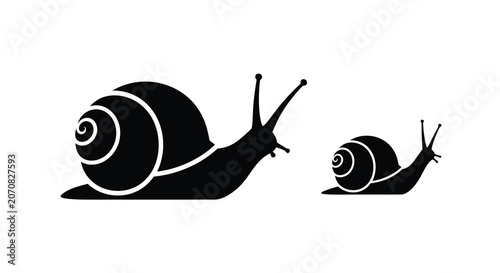 Two Snails In Black Silhouette Style Against White Background