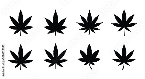 Cannabis leaf silhouettes on a white background a botanical illustration silhouette