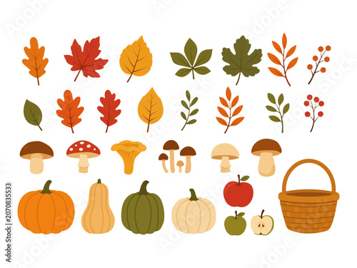 Collection of autumn leaves, mushrooms, pumpkins, apples and harvest elements in warm seasonal colors