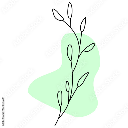 Minimalist Botanical Line Art with Mint Green Shape Background