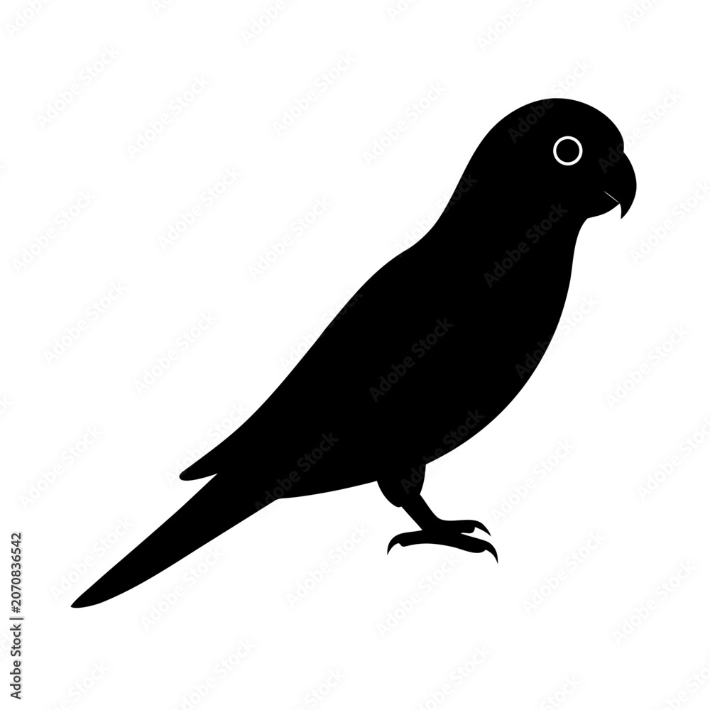 Fototapeta premium Silhouette of parrot bird with round eye and small beak standing on legs