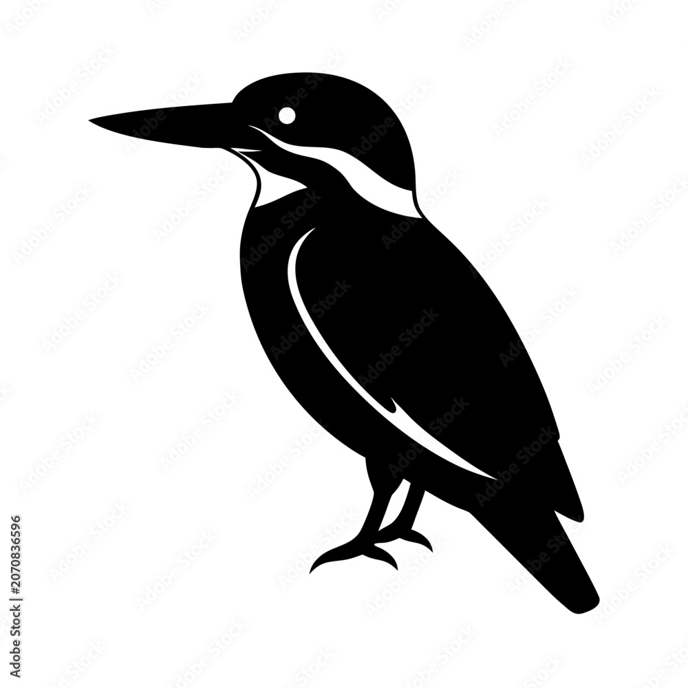 Obraz premium Kingfisher silhouette bird isolated on transparent background vector art illustration clip art