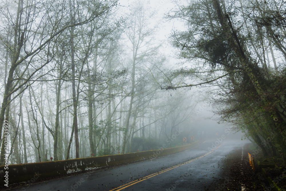 Fototapeta premium Foggy Curve With Guardrail on Mountain Road